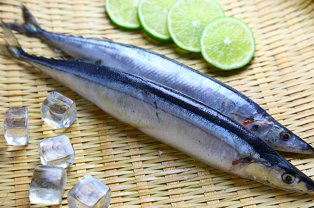 秋刀魚的營養(yǎng)價(jià)值與食用