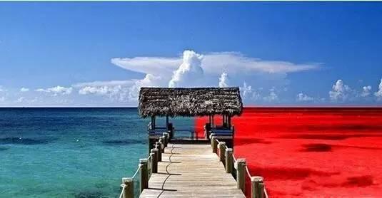 火鍋紅海里還能怎么深扒藍海區(qū)域？|餐飲界