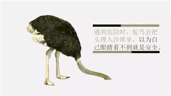 這6個詞，你誤解了任何一個，都能讓你錯過“風(fēng)口”