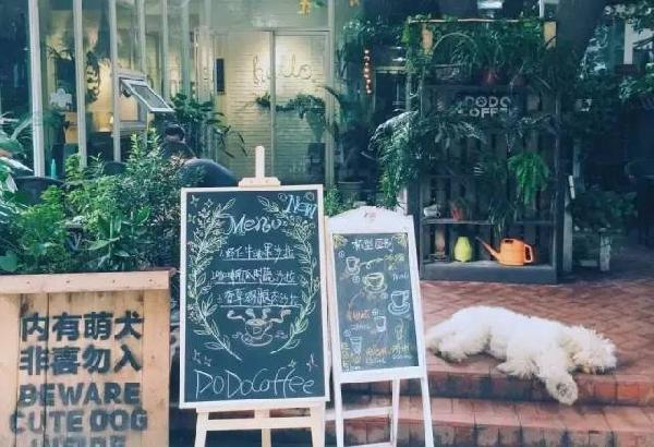 如何開家能賺錢的咖啡館？過來人是這樣算帳的...|餐飲界