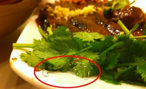 食客在餐廳吃到鋼絲，餐廳被判賠償食客206萬(wàn)，并罰款686萬(wàn)