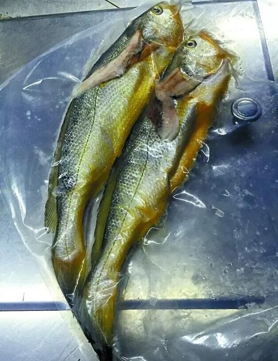 兩條小黃魚賣4628元：沒有菜牌，也沒有價格公示