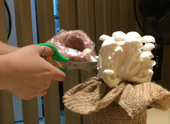 餐飲三巨頭的“爆品”玄機，其實就是4個字|餐飲界