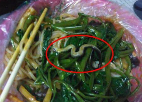 震驚！廣西大學(xué)一螺螄粉店竟然吃出一條蛇！真相是？
