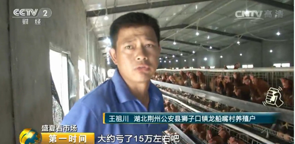 雞蛋價(jià)格跌跌不休！最低腰斬一半
