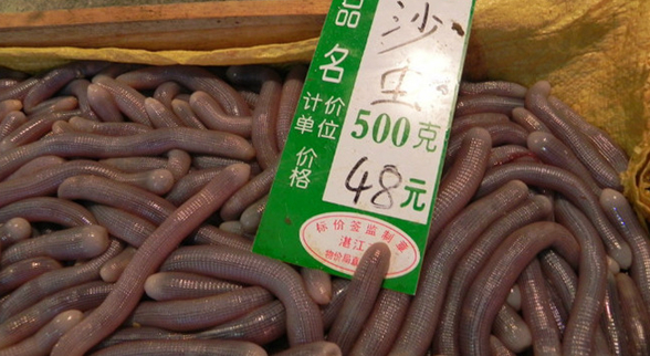?？谝徊蛷d沙蟲被食客質疑不干凈 食藥監(jiān)：沒毛病