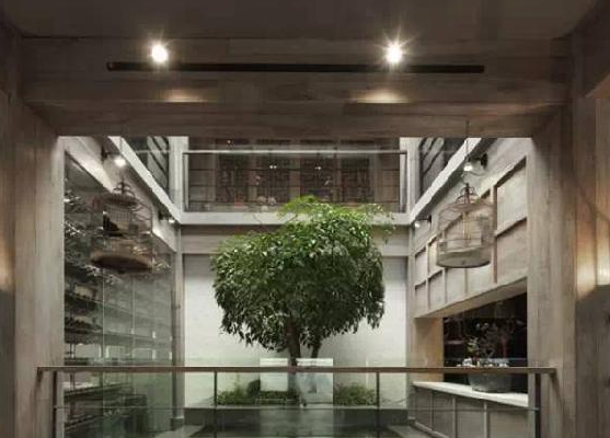 餐廳運(yùn)用上這些植物裝飾，格調(diào)空間立馬不同