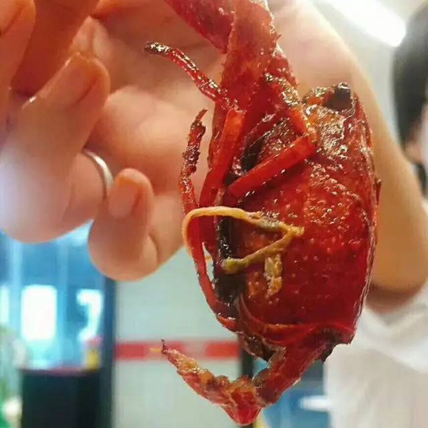 帝都當(dāng)紅小龍蝦測評：誰家的“麻小”在說謊？|餐飲界