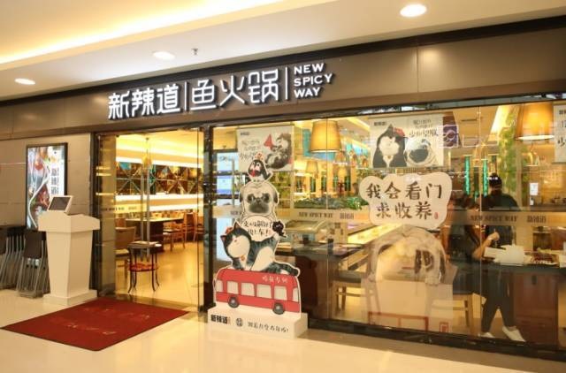 破局傳統(tǒng)營銷思維，看新辣道如何跨界&借勢瘋狂圈粉？ | 案例