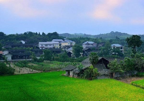 城市水太深，回鄉(xiāng)開餐廳？看完這篇你再做決定……