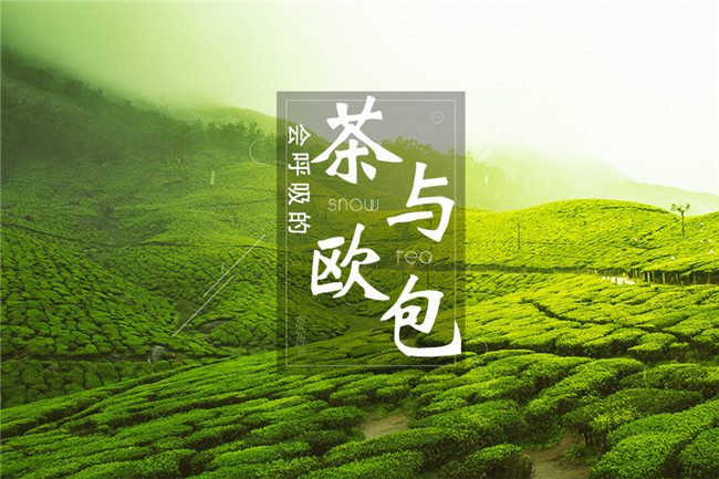 9個月開600家店，漫雪的茶憑啥攻占全國市場？