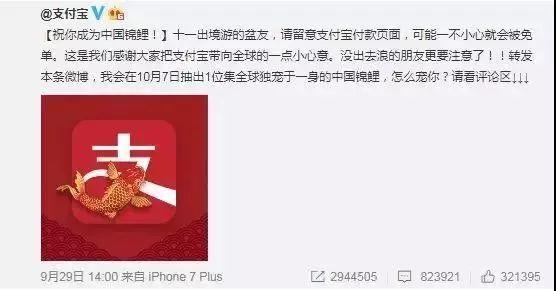 “錦鯉”火了，為什么我不建議跟風(fēng)蹭這個(gè)大熱點(diǎn)？
