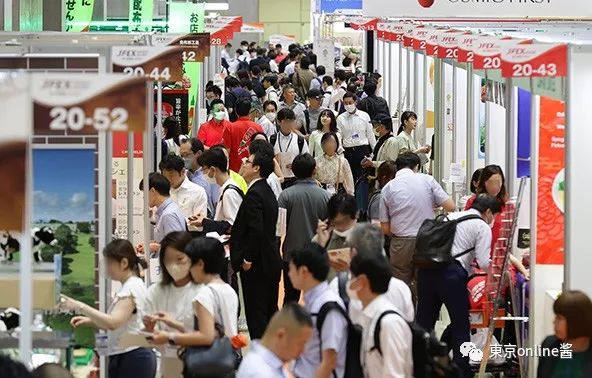 江西天凱樂首秀日本國際食品展，椰子灰冰淇淋榮獲JFEX AWARDS金獎！|餐飲界