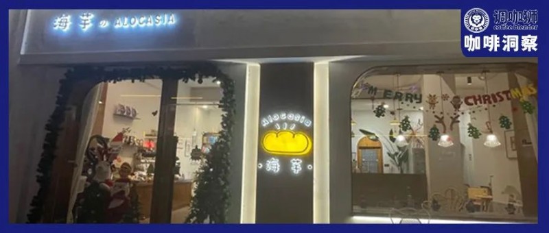 返鄉(xiāng)的年輕人，擠爆了縣城咖啡店！